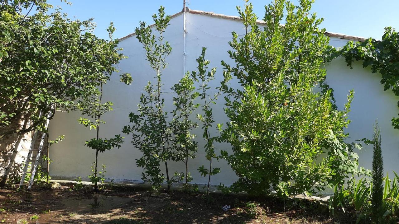 Casa Junto Al Parque Natural De Las Bardenas Sadaba Екстер'єр фото